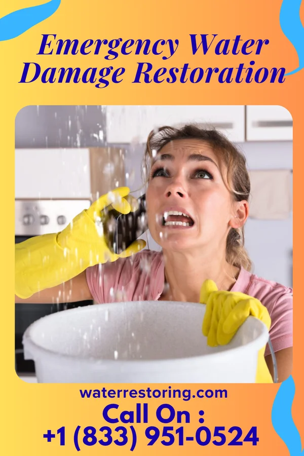 Emergency Water Damage Restoration in Saint John's University, MN