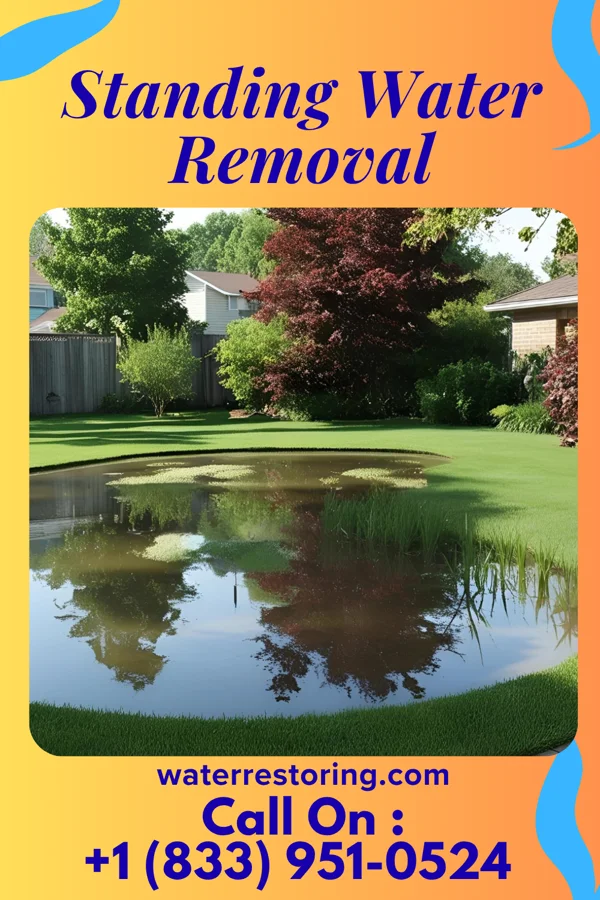 Standing Water Removal in Saint John's University, MN
